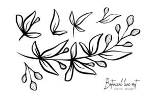 botânico elegante linha arte ilustração do flor folhas ramo para Casamento convite e cartões, logotipo projeto, rede, social meios de comunicação e poster, modelo, anúncio, beleza e Cosmético indústria. vetor