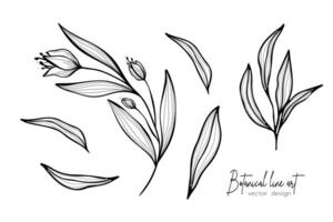 botânico elegante linha arte ilustração do flor folhas ramo para Casamento convite e cartões, logotipo projeto, rede, social meios de comunicação e poster, modelo, anúncio, beleza e Cosmético indústria. vetor