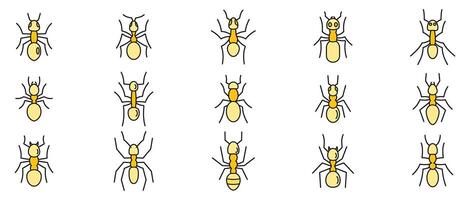 selvagem formiga ícones conjunto vetor cor linha