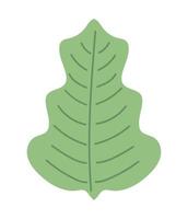 ícone da folha da floresta vetor