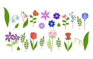 conjunto do Primavera flores, floral galhos e verde folhas. multicolorido florescendo botânico elementos para projetos. plano vetor ilustração isolado em branco fundo.