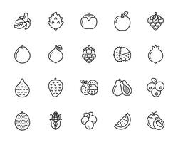 frutas linha ícone conjunto isolado em branco fundo vetor
