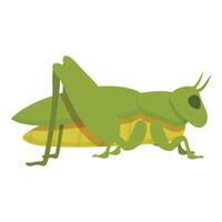 verde gafanhoto ícone desenho animado vetor. natureza inseto vetor