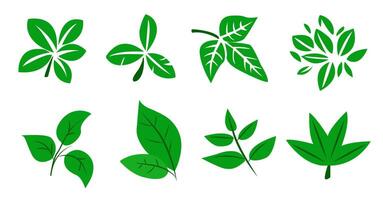 uma conjunto do verde folhas em uma branco fundo, para logotipos, desenhos, para a simbolismo do a verde planeta vetor
