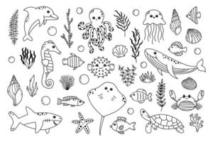 mar rabisco grande conjunto com fofa mar vida elementos. mão desenhado sketh com oceano animal. vetor ícone