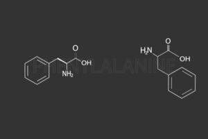 fenilalanina molecular esquelético químico Fórmula vetor
