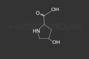 4-hidroxiprolina molecular esquelético químico Fórmula vetor