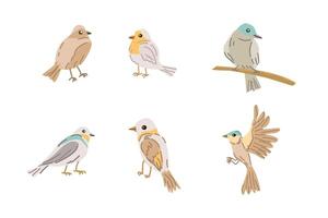 conjunto do Primavera pássaros - fofa animais de pé, vôo e sentado em madeira vetor ilustração isolado. pode usava para papel de parede, poster, impressão Projeto para pano.