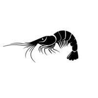 camarão mar caridea animal gravura ilustração vetorial. imitação de estilo de placa de arranhão. imagem desenhada à mão em preto e branco. vetor