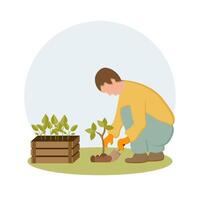 jardinagem, uma homem plantio mudas do plantas. Primavera ilustração, vetor