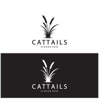 cattails ou rio cana Relva plantar logotipo projeto, aquático plantas, pântano, selvagem Relva vetor