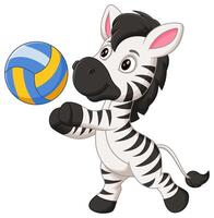 fofa zebra desenho animado jogando voleibol vetor ilustração. animal natureza ícone conceito isolado Prêmio vetor