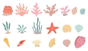 algas marinhas e conchas do mar conjunto vetor plano. fofa decoração para seu Projeto