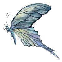 mão desenhado aguarela ilustração borboleta fada asas gema cristal inseto mariposa. opala Moonstone pérola labradorita. conjunto do objetos isolado em branco fundo. Projeto imprimir, comprar, casamento, aniversário vetor