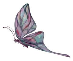 mão desenhado aguarela ilustração borboleta fada asas gema cristal inseto mariposa. turmalina pérola labradorita opala. solteiro objeto isolado em branco fundo. Projeto imprimir, comprar, casamento, aniversário vetor