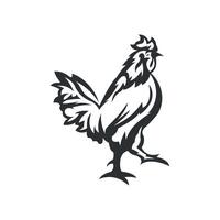 design de vetor de logotipo de frango