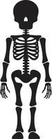 dinâmico osso mascote Preto icônico caprichoso esquelético pose cheio corpo vetor