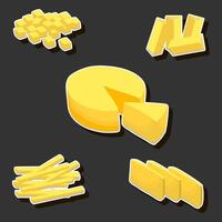 lindo saboroso comestível caseiro queijo laticínios produtos consistindo do vários ingredientes vetor