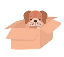 cachorro em uma caixa vetor