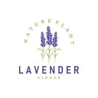 lavanda logotipo elegante roxa flor plantar ilustração floral enfeite Projeto vetor