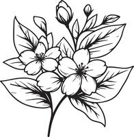 flores coloração Páginas, e livro, vetor esboço do jasmim flores, mão desenhado jasmim flores, botânico folha broto ilustração gravado tinta arte estilo. jasmim flor esboço