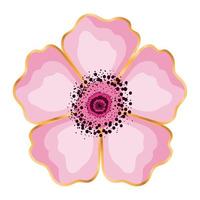 desenho vetorial de flor rosa isolada vetor