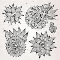 conjunto do mão desenhado vetor floral elementos