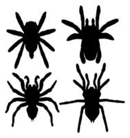conjunto grande tarântula aranha silhueta ícone vetor ilustração