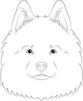 samoiedo cachorro fácil coloração desenho animado vetor ilustração. isolado em branco fundo