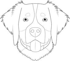 Bernese montanha cachorro fácil coloração desenho animado vetor ilustração. isolado em branco fundo