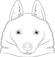 schipperke cachorro fácil coloração desenho animado vetor ilustração. isolado em branco fundo