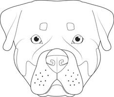 rottweiler cachorro fácil coloração desenho animado vetor ilustração. isolado em branco fundo