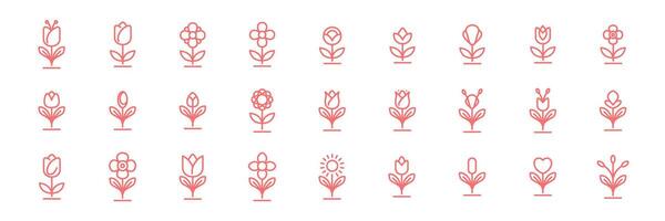 feminino plantar flor botânico florista linha moderno mínimo ícone conjunto coleção logotipo Projeto vetor ilustração