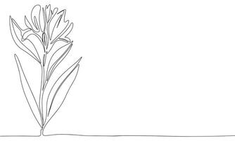 flor 1 linha contínuo. linha arte flor isolado em transparente fundo. mão desenhado vetor arte.