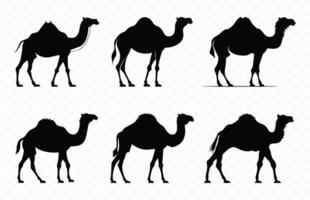 camelo silhueta vetor pacote, camelos silhuetas Preto clipart conjunto
