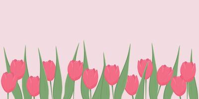 Primavera bandeira Projeto modelo. Rosa tulipa em uma Rosa fundo. vetor ilustração. cópia de espaço