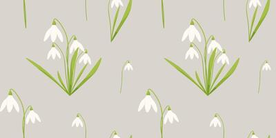 vetor desatado padronizar com branco snowdrops e verde folhas.