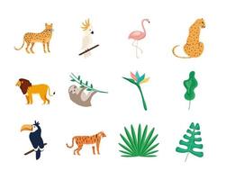 oito animais tropicais vetor