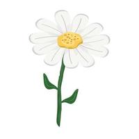 ícone de flor de margarida vetor
