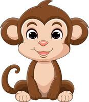 desenho de macaco bebê fofo sentado vetor