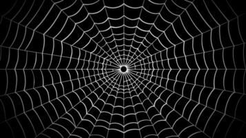 aranha rede em uma Preto fundo. vetor ilustração do uma aranha rede