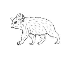 vetor mão desenhado rabisco esboço coala