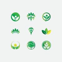 logotipos da ecologia de folhas verdes vetor