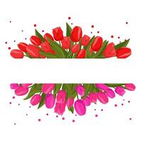 Primavera retangular quadro, Armação com Rosa vermelho tulipas para palavras e texto. vetor fundo modelo com flores para projeto, cumprimento cartão, bandeira, quadro, folheto, oferta, poster