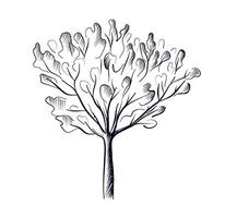 mão desenhando do uma árvore vetor ilustração
