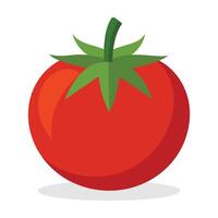 tomate plano vetor ilustração em branco fundo