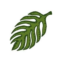 natural tropical folha vetor logotipo modelo ilustração eps 10