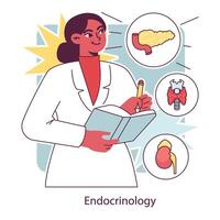 endocrinologia. endócrino sistema órgãos, pâncreas tireoide glândula, pituitária vetor