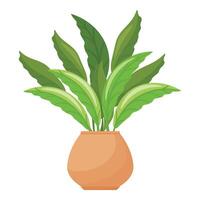 gardênia flor Panela ícone desenho animado vetor. planta de casa tropical vetor
