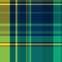 fundo têxtil tartan do tecido textura padronizar com uma vetor xadrez Verifica desatado.